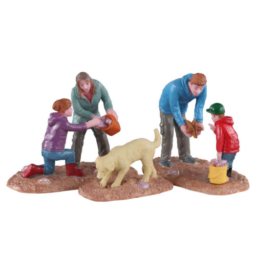 Looking For Seashells