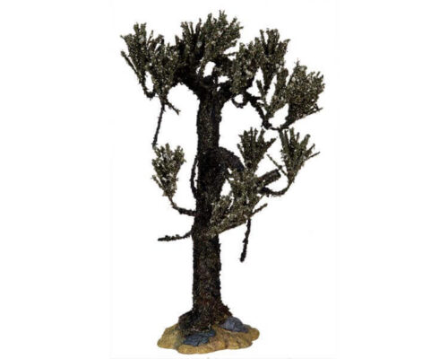 Withered Cypress Tree