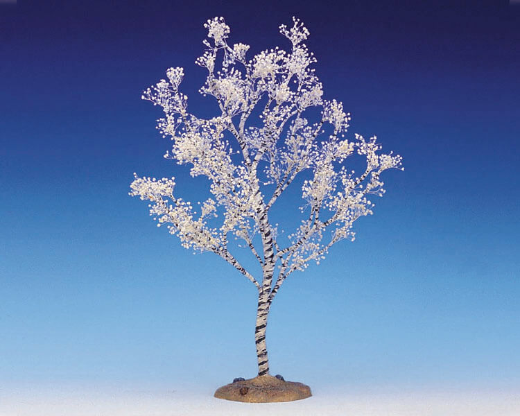 Flowering Dogwood Extra Large