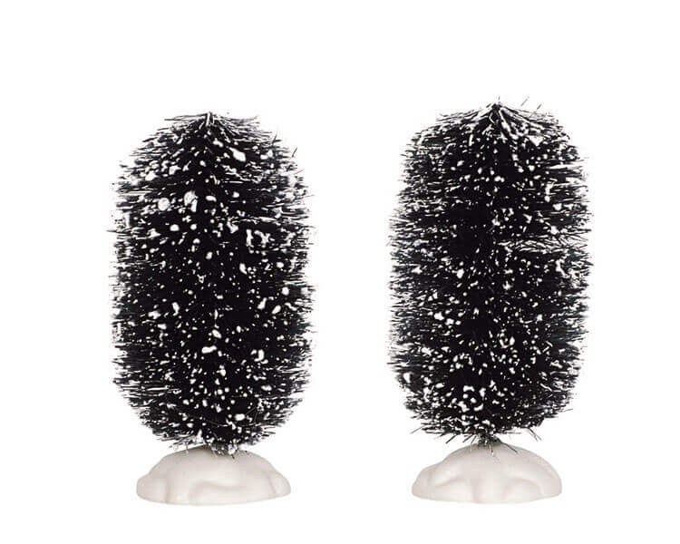 4 inch Oval Bristle Tree