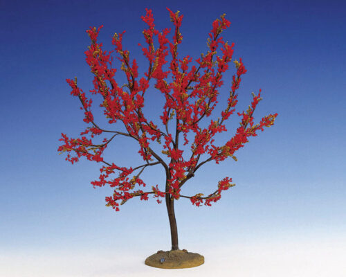 Red Plum Extra Large