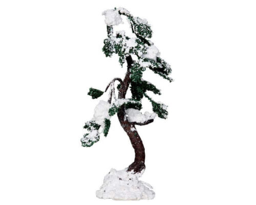 Snowy Buckeye Tree Large