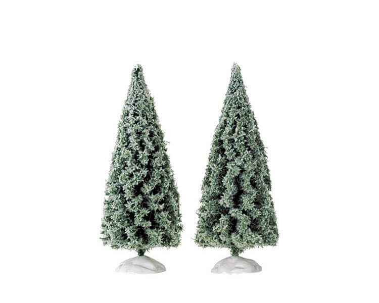 Spruce Tree Small