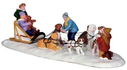 Neighborhood Dogsled Team