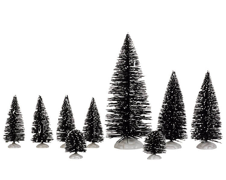 Assorted Pine Tree