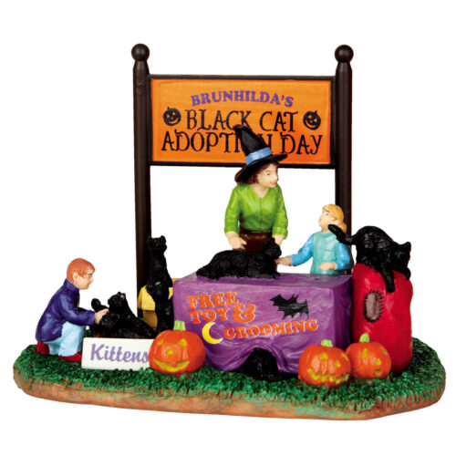 Black Cat Adoption