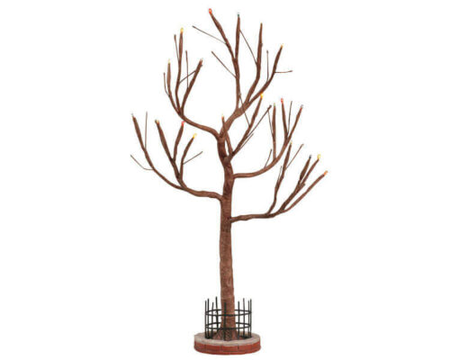 Lighted Hickory Tree