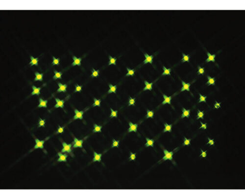 Mini Light Set Green Color Count Of 50