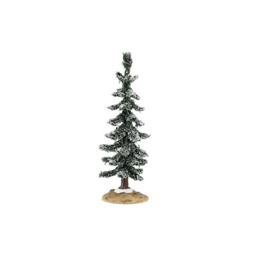 Blue Spruce Tree