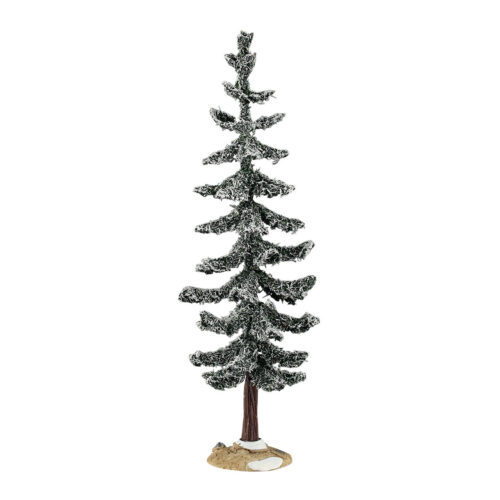 Blue Spruce Tree