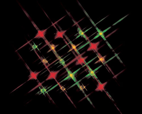 20 Mini Light - Multi