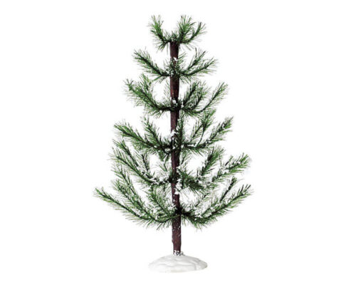 White Pine Large