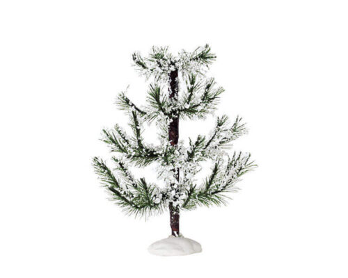 White Pine Medium