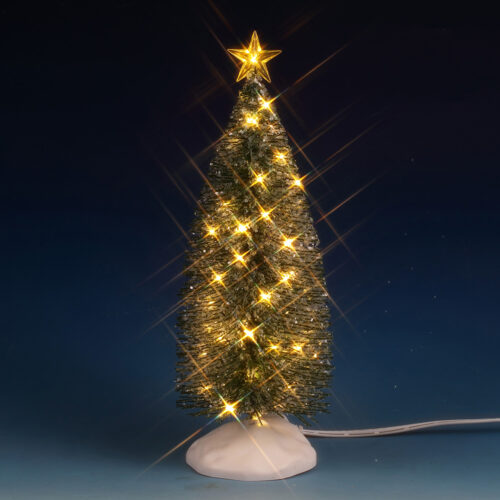 Clear Light Evergreen Tree