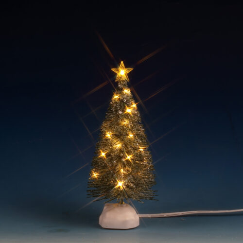 Clear Light Evergreen Tree