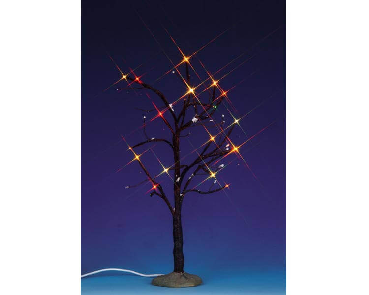 Lighted Elm Tree