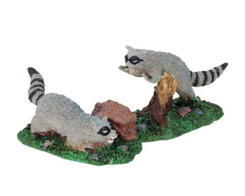 Rabid Racoons