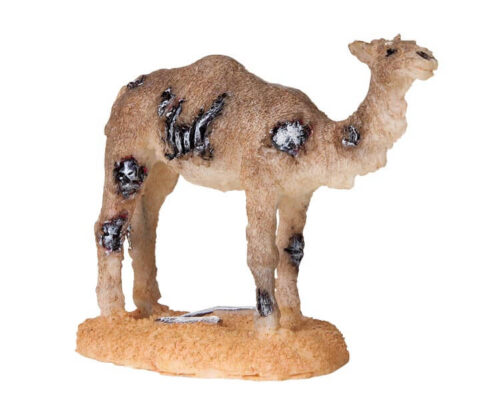Camel