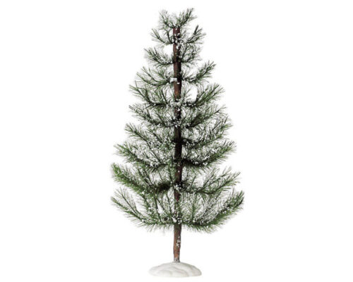 White Pine Jumbo