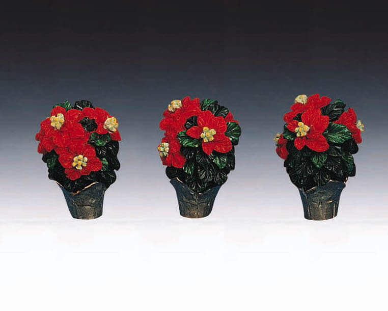 Poinsettias