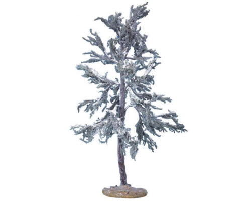 Douglas Fir Tree Extra Large