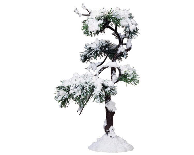 Aspen Pine Tree - B Large