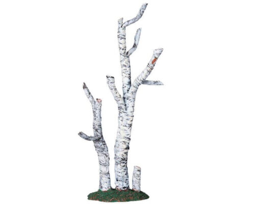 Paper Birch Tree Large