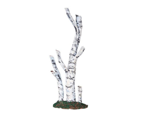 Paper Birch Tree Medium