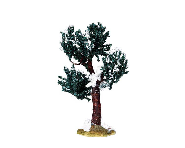 Winter Mulberry Tree Medium