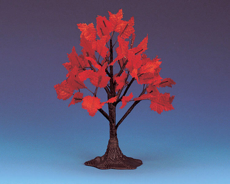 Maple Tree Medium