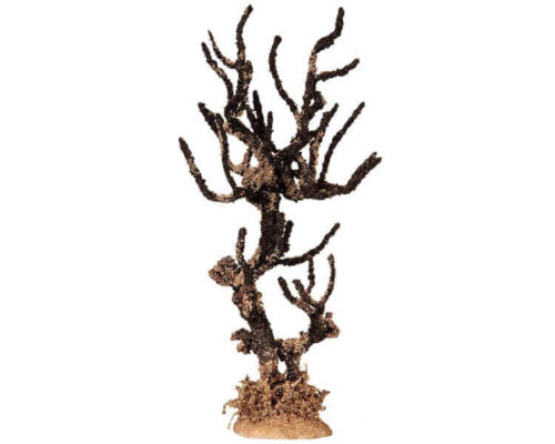 Dying Elm Tree Large