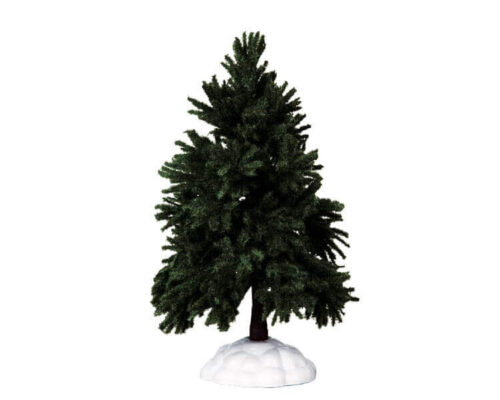 Evergreen Fir Tree Large